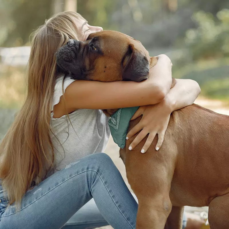 Terapia zwierząt indywidualna lub zdalna 